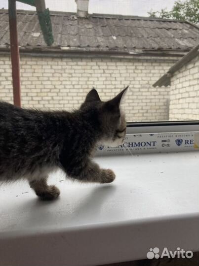 Вдобрые руки