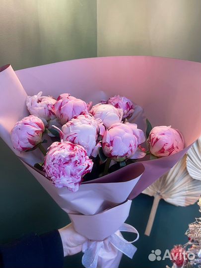 Букет из 9 Пионов Цветы доставка