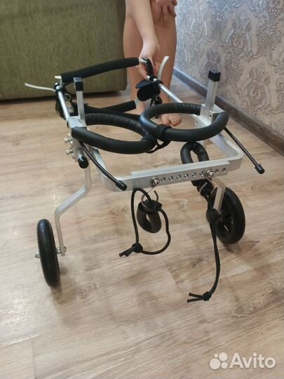 Инвалидная коляска для животных