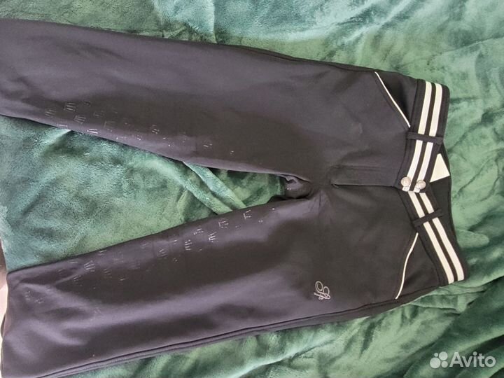 Зимние бриджи для конного спорта