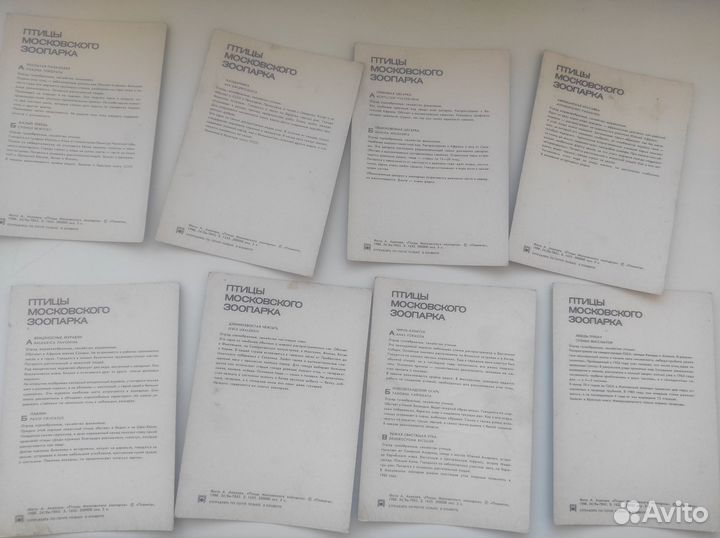 Набор открыток СССР Птицы московского зоопарка