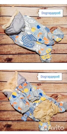 Зимние комбинезоны для французского бульдога