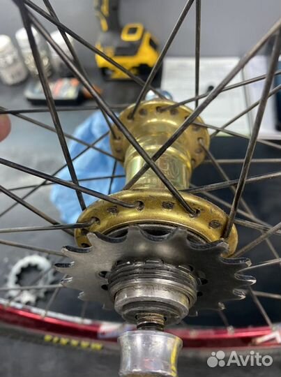 Звезды single speed