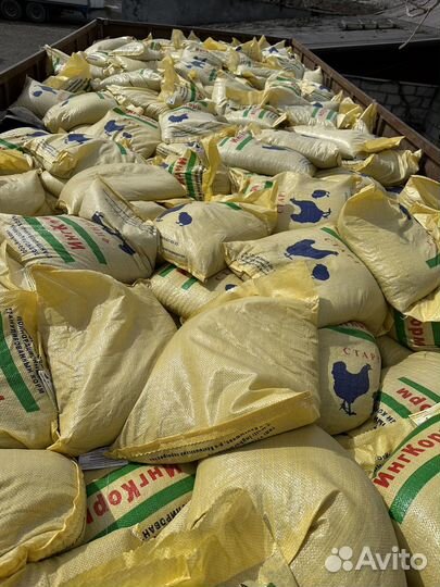 Корм для птиц