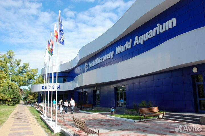 Контролер турникета океанариума