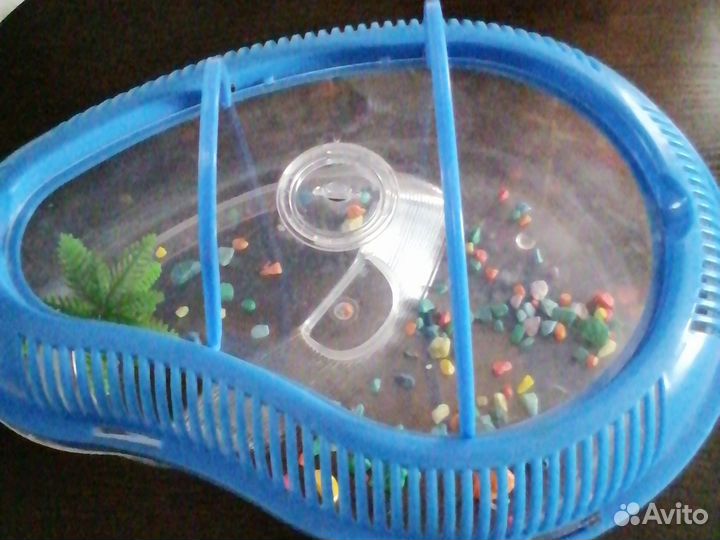 Контейнер для черепахи мало бу пластик