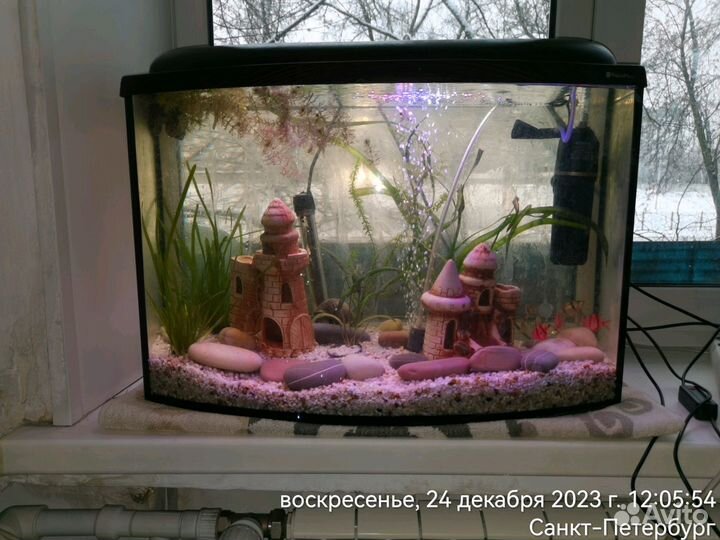 Аквариумы