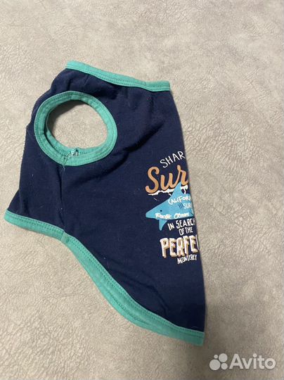 Одежда для собак