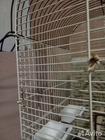 Клетка для попугаев