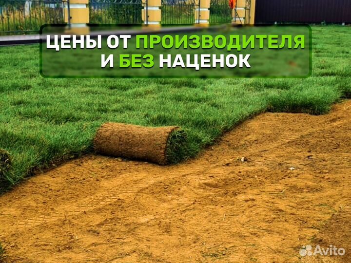 Рулонный газон. Качественный газон от производител