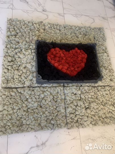 Мох опт сырье для стабилизации