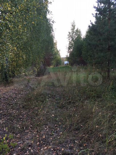 Участок 30 сот. (ИЖС)