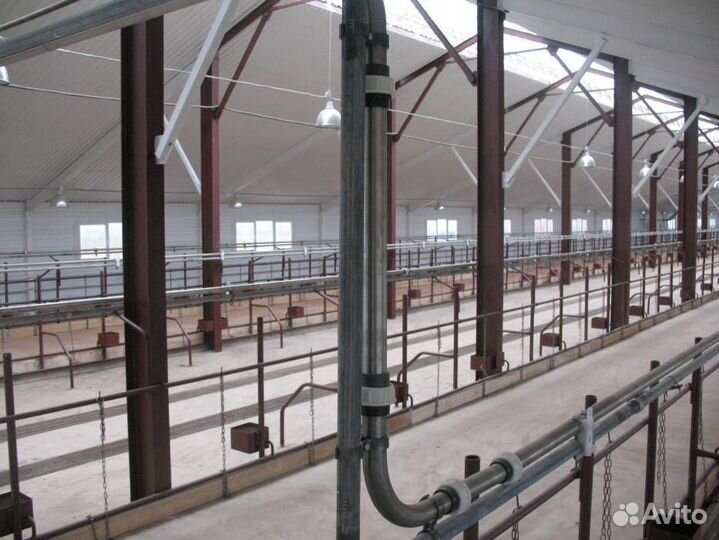 Молокопровод на 50 голов