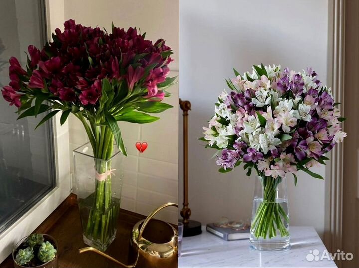 Альстромерии с доставкой по Краснодару