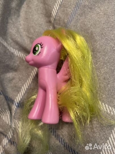 My little pony, дейзи