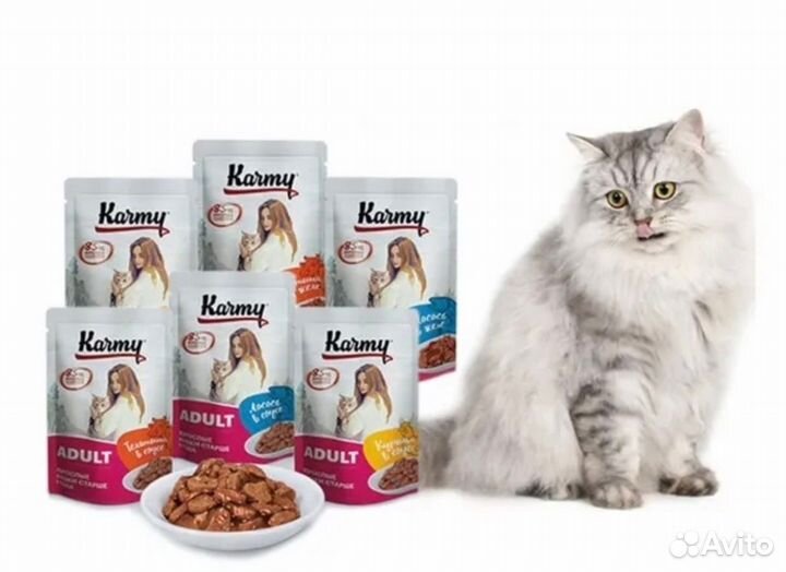 Корм для кошек и собак