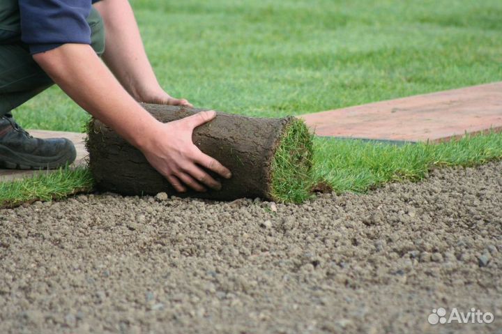 Рулонный газон от производителя стандарт