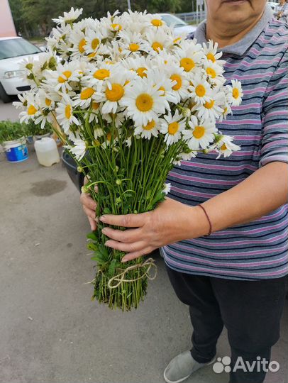 Букет из ромашек