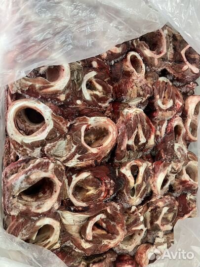 Мясо и субпродукты для собак