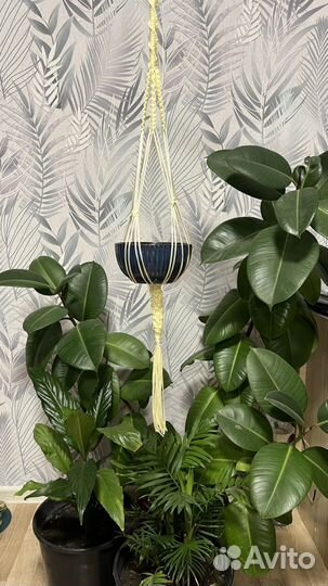 Подвесное кашпо макраме