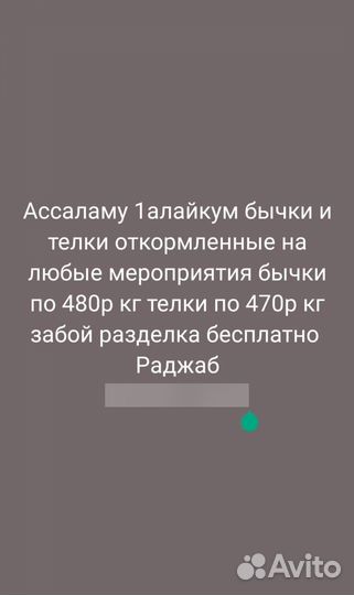 Бычки телки