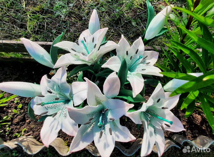 Лилия, розы