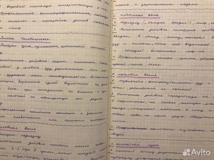 Перепишу лекции/конспекты