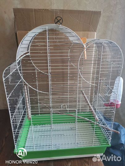 Попугай корелла, мальчик, с клеткой