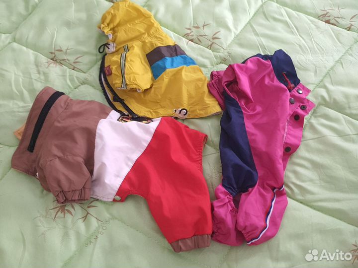 Одежда для маленьких собак чихуа