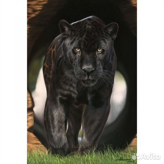 Картина Черный Ягуар