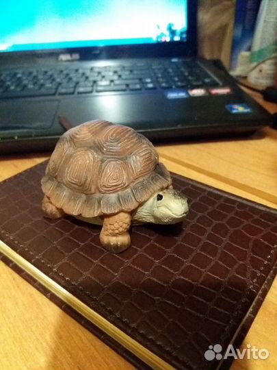 Аквариумная черепашка