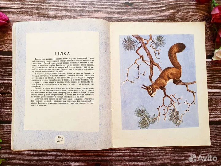 Горлов, Акииушкин. По следам 1969 г