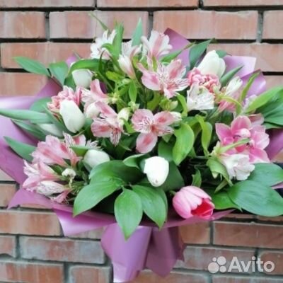 Цветы тюльпаны