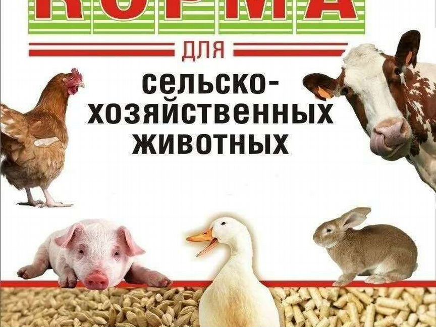 Зерно и комбикорма