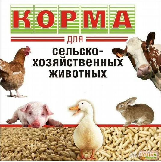 Зерно и комбикорма