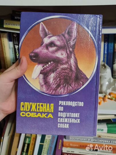 Служебная собака, Мазовер