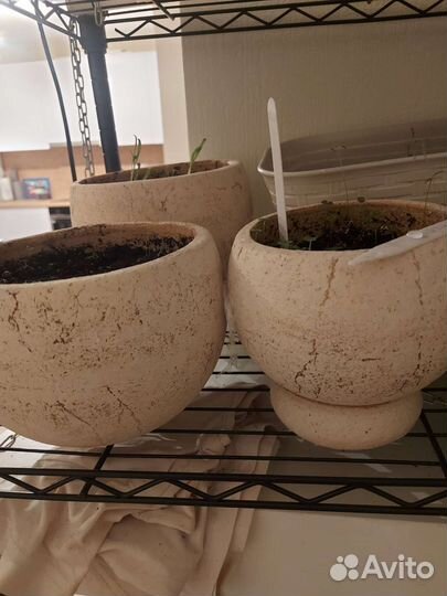 Кашпо горшок для цветов