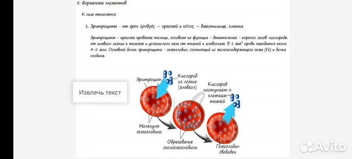 Материалы для подготовки к егэ по биологии