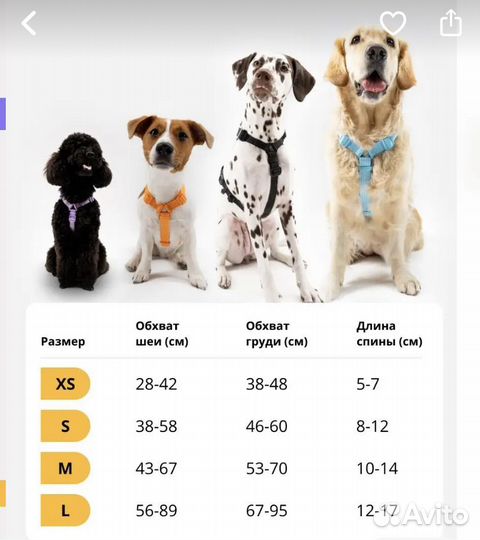 Шлейка для собаки