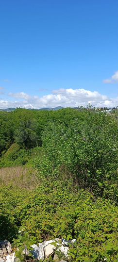 Участок 20 сот. (СНТ, ДНП)