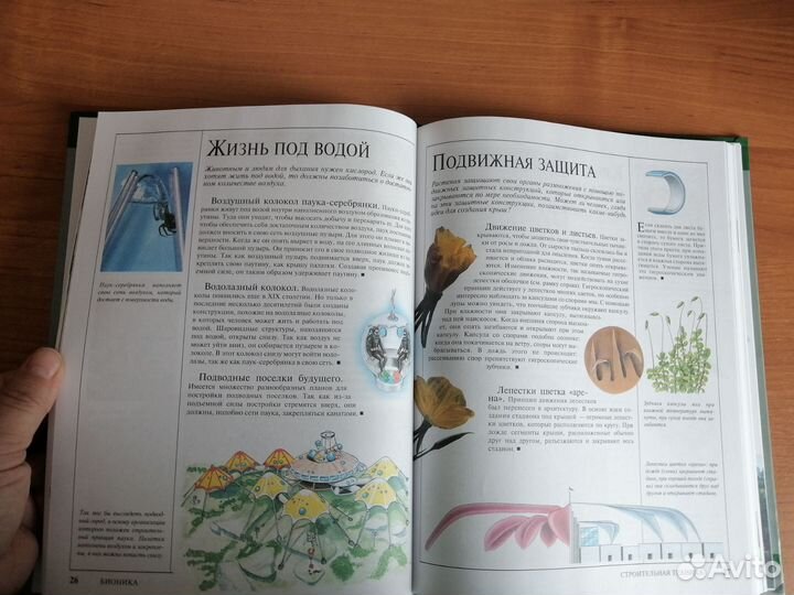 Книга энциклопедия 