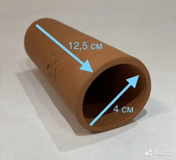 Сомы анциструсы