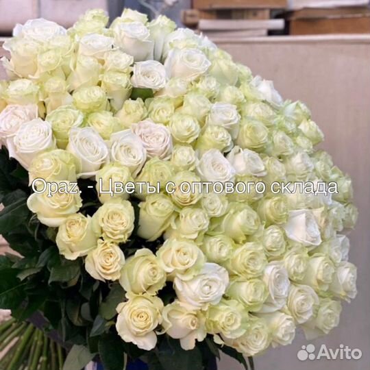 Букет 101 роза