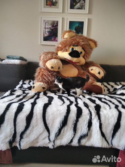 Мягкая игрушка медведь