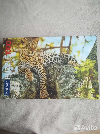 Пазлы 1000 деталей