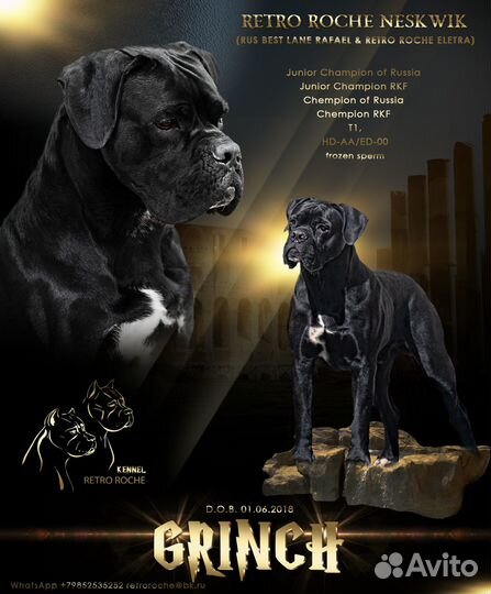 Кобель вязка кане корсо