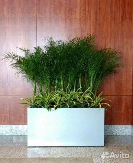 Кашпо из бетона