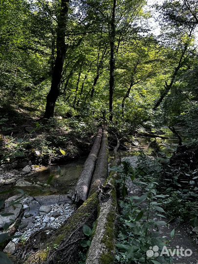 Индивидуальный тур