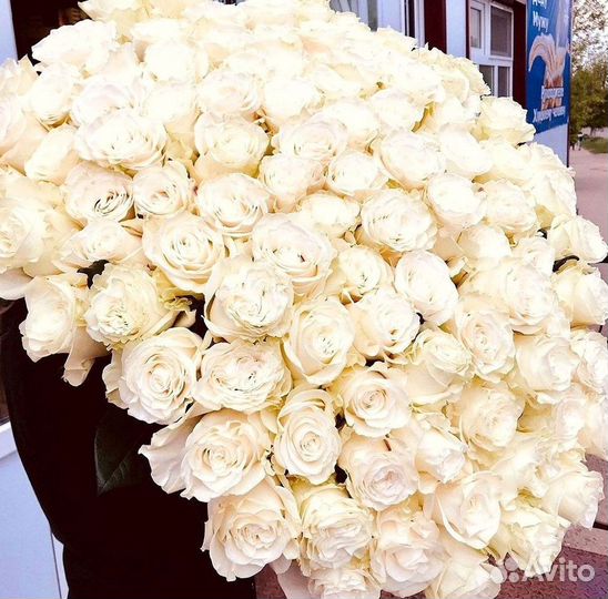 Розы высокие Доставка цветов