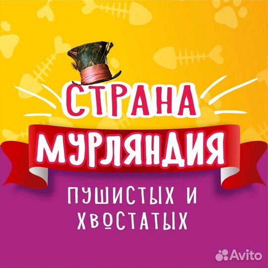Сотрудник по уходу за кошками